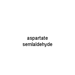 aspartate semlaldehyde